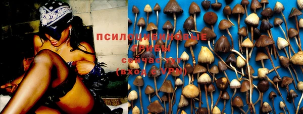 2c-b Покров
