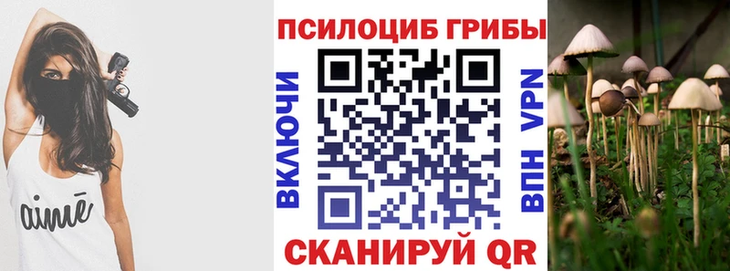 Галлюциногенные грибы GOLDEN TEACHER Кропоткин